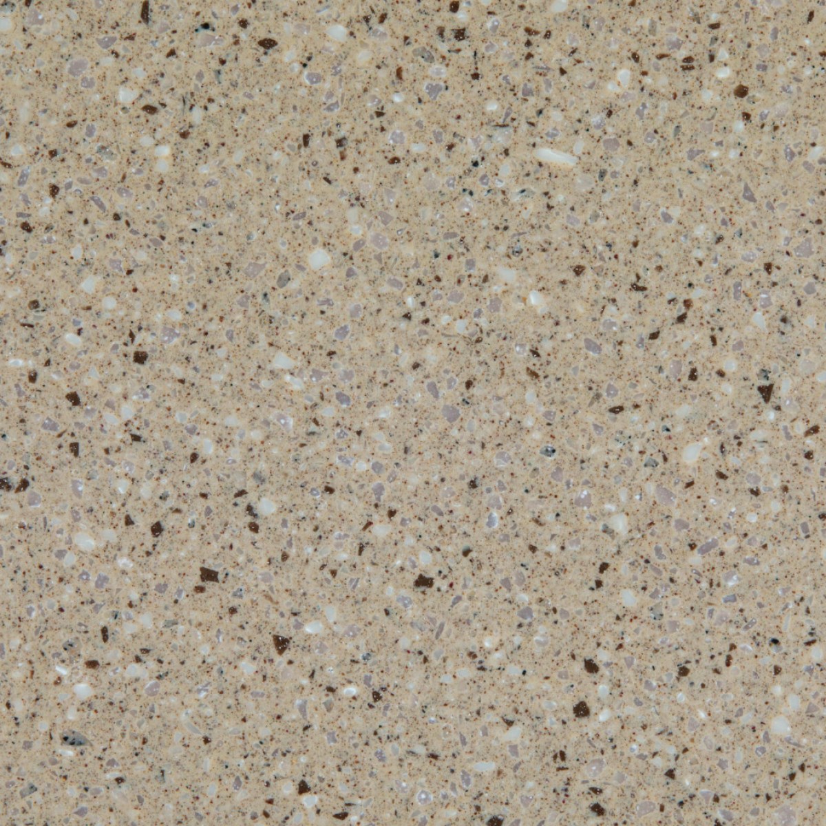 PM 879 Collina Mirage scaled 1