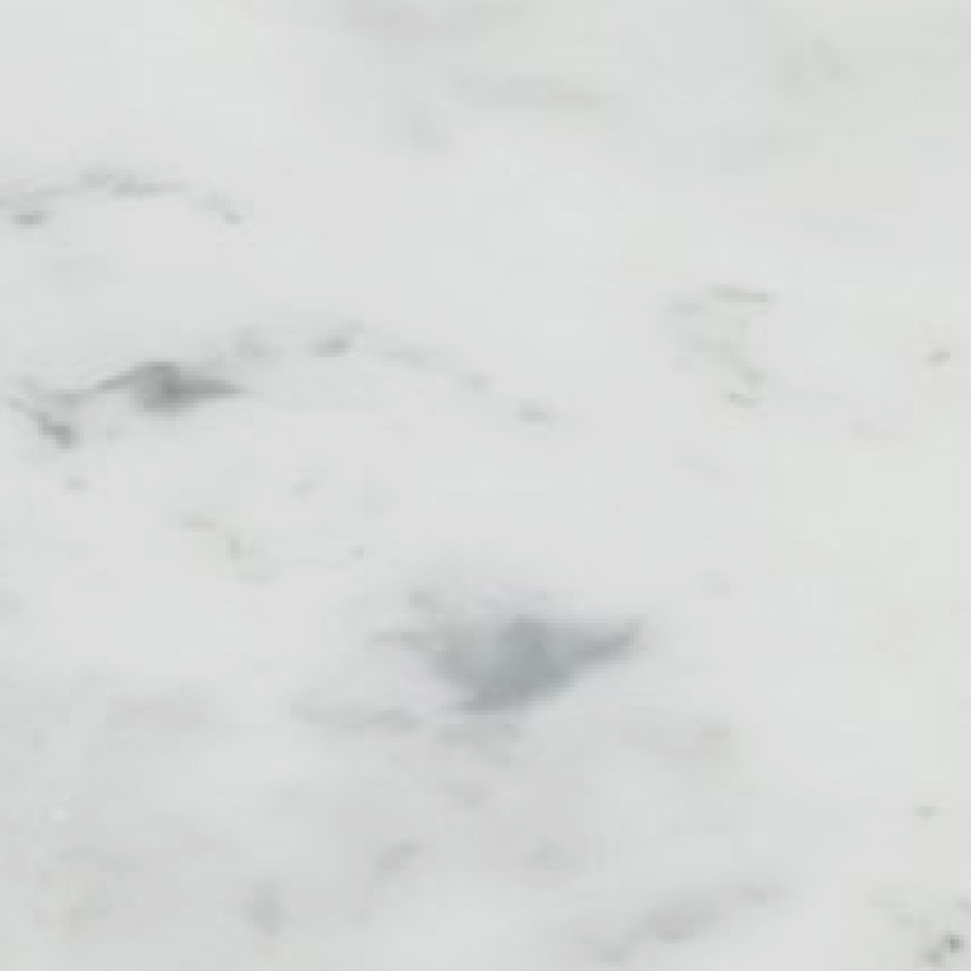 minerva® Carrara White CA Veined decor jpg